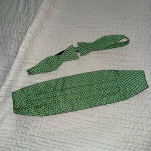 Green and Yellow lemons and lime Patterned Bow Tie